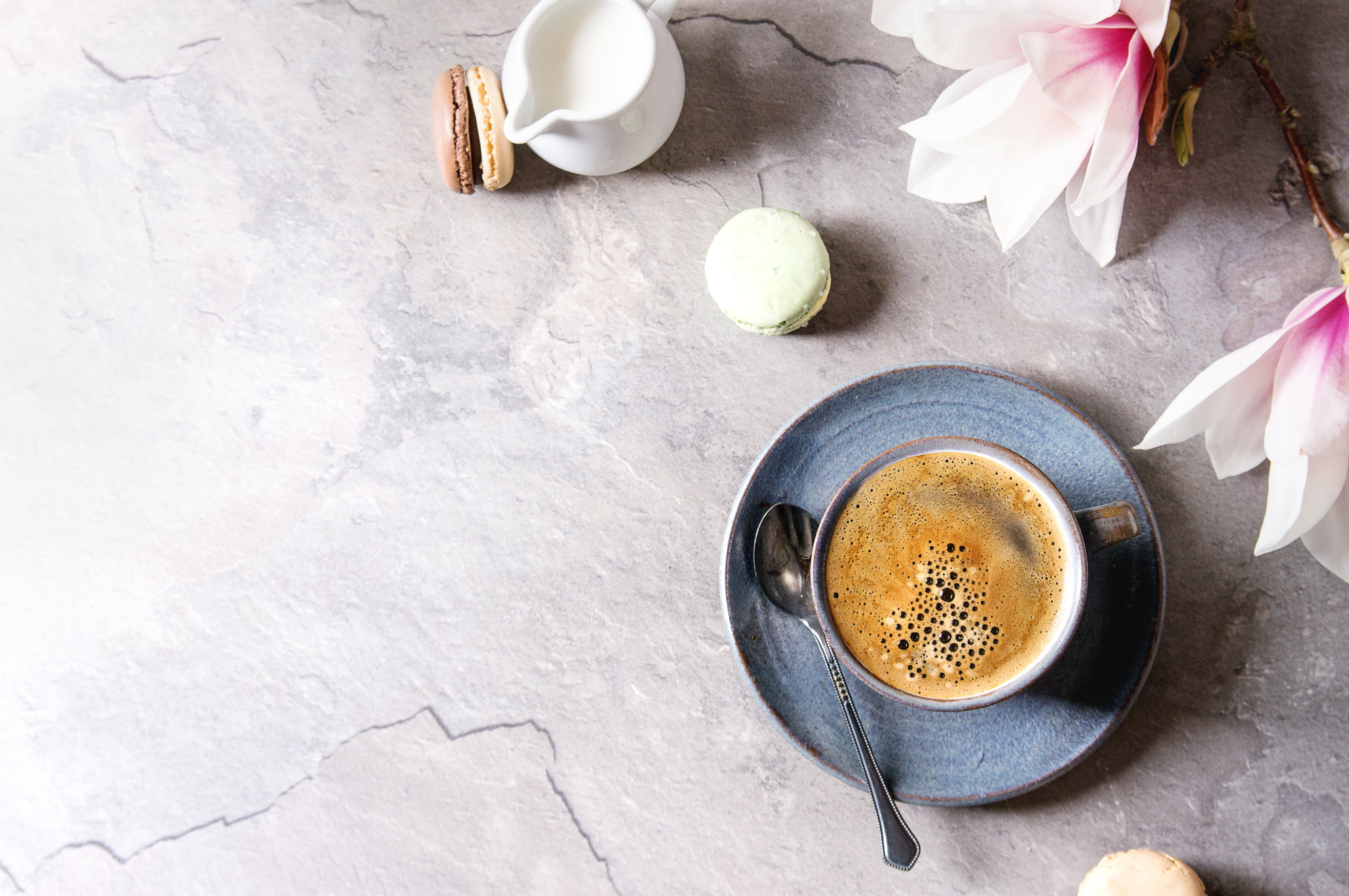 Cup of Coffee With Purple Flowers and Macaroons A Great New Beginning From Terra Powders Spring Time Collection